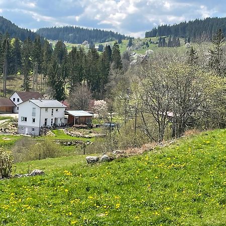 Ferienwohnung Am Hirtenpfad Lenzkirch Eksteriør billede